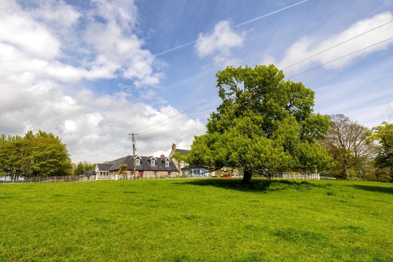 Hotel Boyne View House Trim Esterno foto