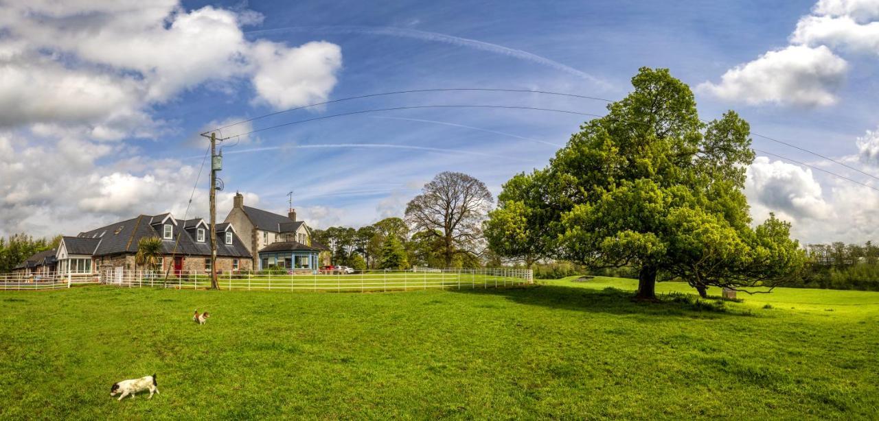 Hotel Boyne View House Trim Esterno foto